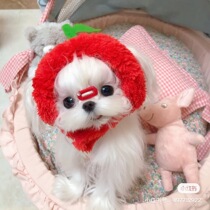 Hand-made Korean imported pet hairpin comb clip bb broken hairpin Maltese Yorkshire Sisch