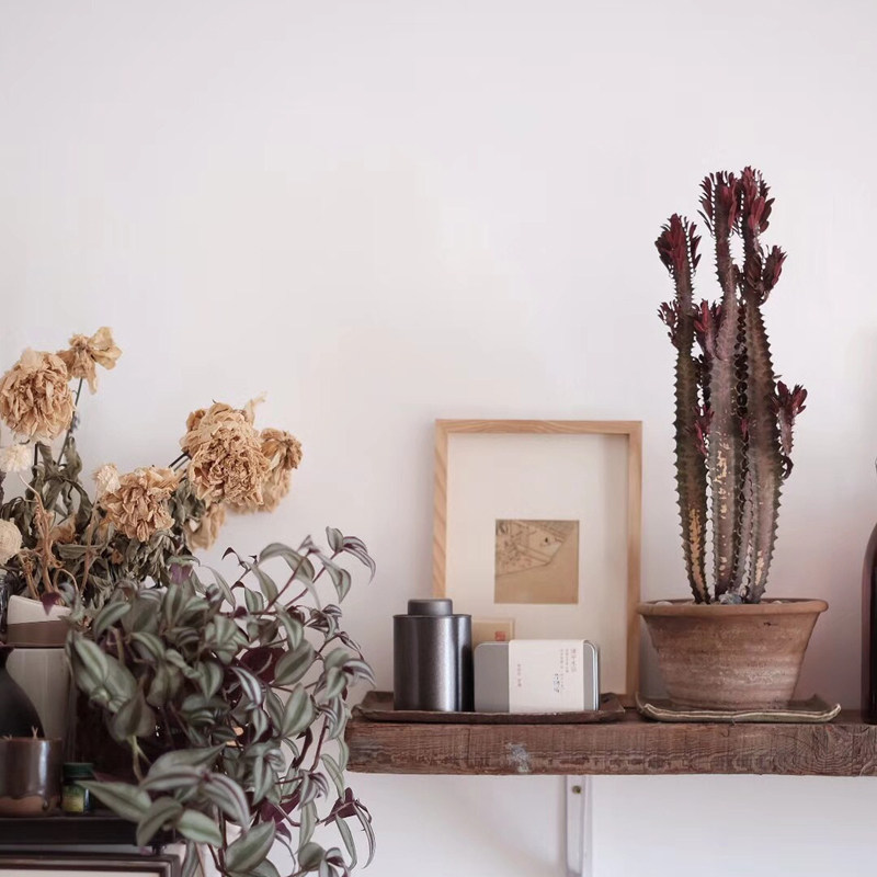 如何选择适合的实木画框？水曲柳和白蜡木有何区别？