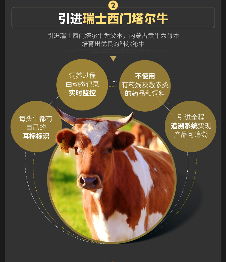 世界肉类组织会员企业 科尔沁 卤汁牛肉 230g*2袋 图4