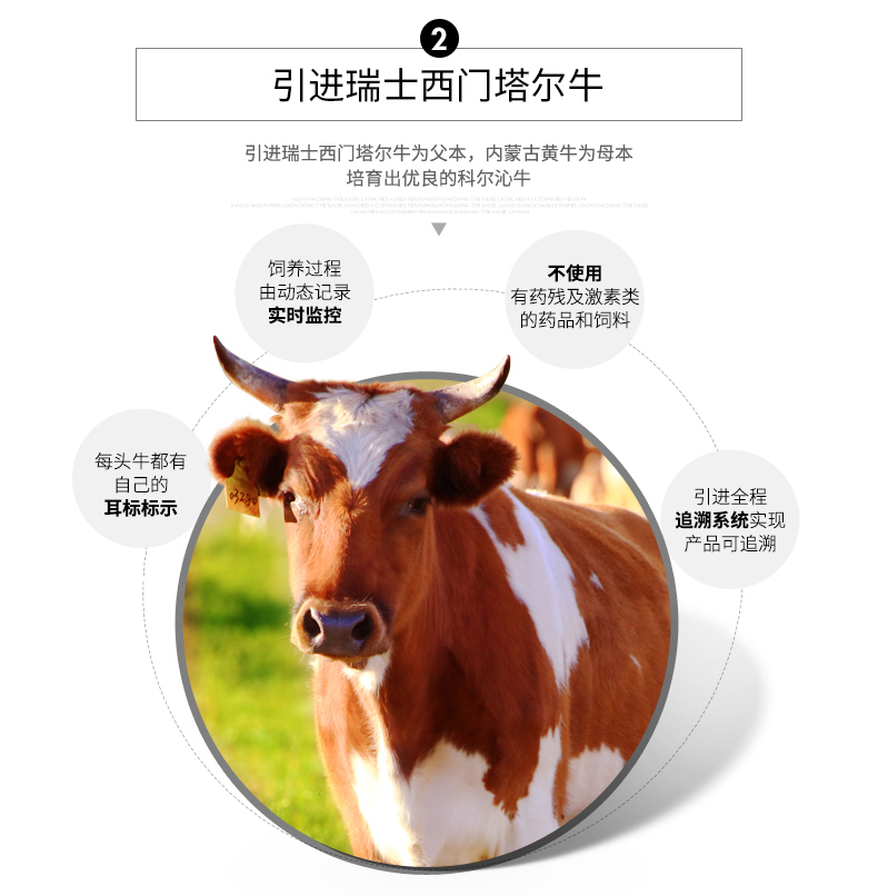 世界肉类组织成员 科尔沁 五香酱牛肉 200g*4袋 开袋即食 图8