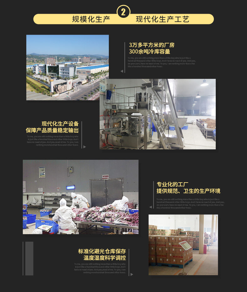 Chuanxiang Beef 105G3 Bag_11.jpg