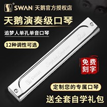 Swan 24-hole single-note single-hole single row A B C D E F G harmonica beginner adult professional performance level