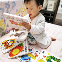 6 good quality phonetic riddles cave book cognitive animals cant tear kindergarten look at the picture literacy early education puzzle