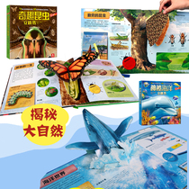 Science Interests Cultivate Decryption Nature Encyclopedia 3D3456789 Year Old Children Flip Book Gift Insect