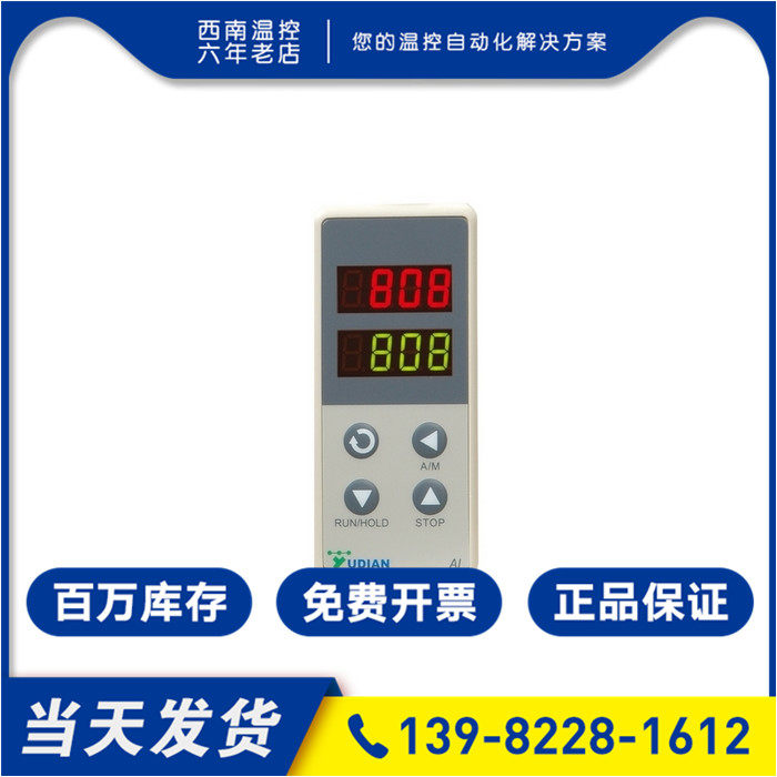 Original Xiamen Yudian YUDIAN E8 handheld display with guide rail instrument