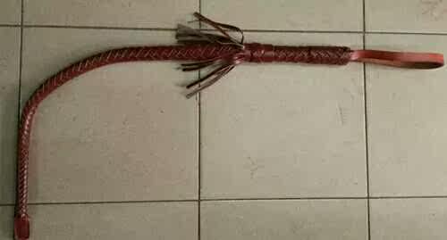 Article équitation - Ref 1381124 Image 7