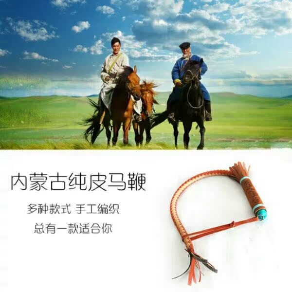 Article sports equestres - Ref 1382387 Image 5