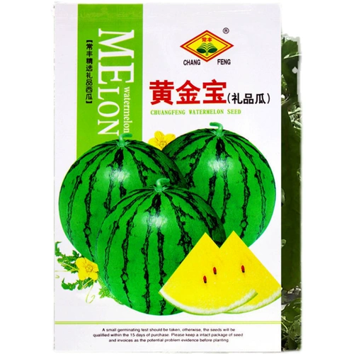 Золотое сокровище семена арбуза зеленая кожа желтое сердце арбуз кожа кожа