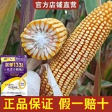 [Восточная Азия xiaosteel] Fuyou Dongdan 1331 модернизированная версия кукурузных семян высокого уровня кукурузы высокого качества