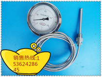WTZ-280BF all stainless steel pressure thermometer 100 degrees 120 degrees 150 degrees 200 degrees