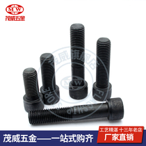 High strength 12 9 grade hexagon socket socket socket Bolt high strength screw m6x8-6x100