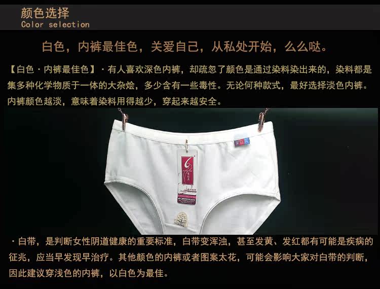 Slip jeunesse simple en coton - Ref 642794 Image 9