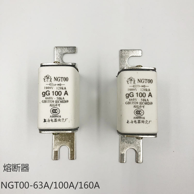 Shanghai Electric Ceramic Factory NGT00 aR 63A 100A 125A 160A Feiling fast fuse