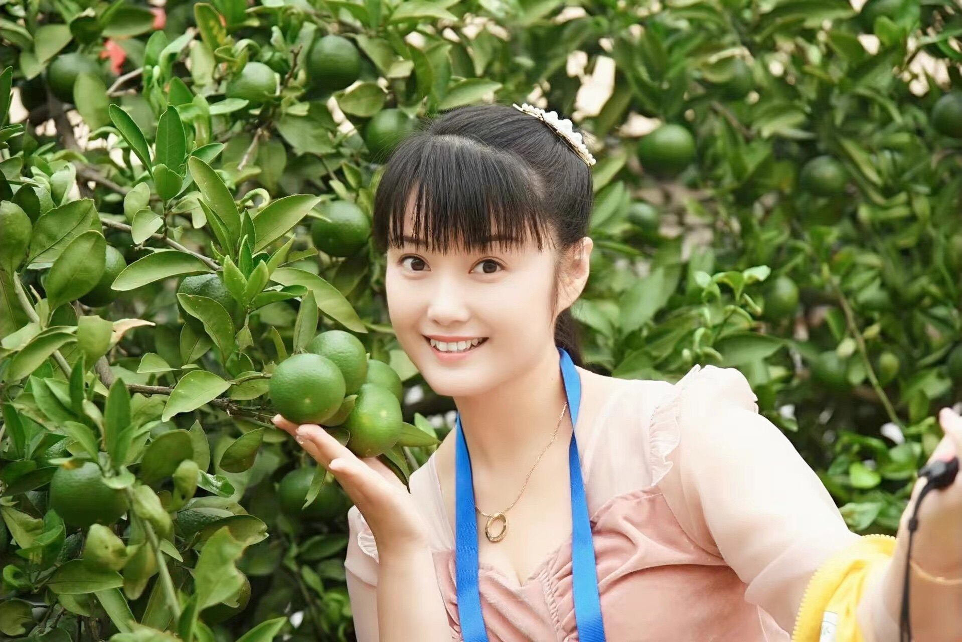 凤吟亚克力置物架制品批发的LOGO