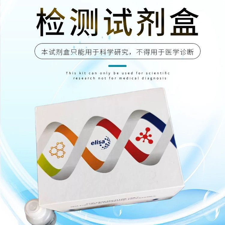 白细胞介素6（IL-6）高纯度试剂盒