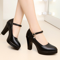 One-character buckle large size womens shoes coarse-heeled high-heeled waterproof single-shoe leather model cheongsam catwalk high-heeled women