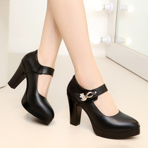 Black cheongsam show shoes model shoes leather waterproof table thick heel size 40-43 size womens shoes high heel single shoes women