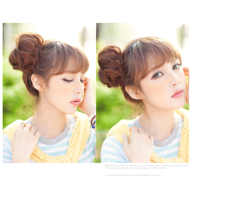 Extension cheveux - Chignon - Ref 244994 Image 19