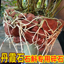 Chishui Danxia stone planting Dendrobium nobile special strong water absorption irregular gravel head iron matrix