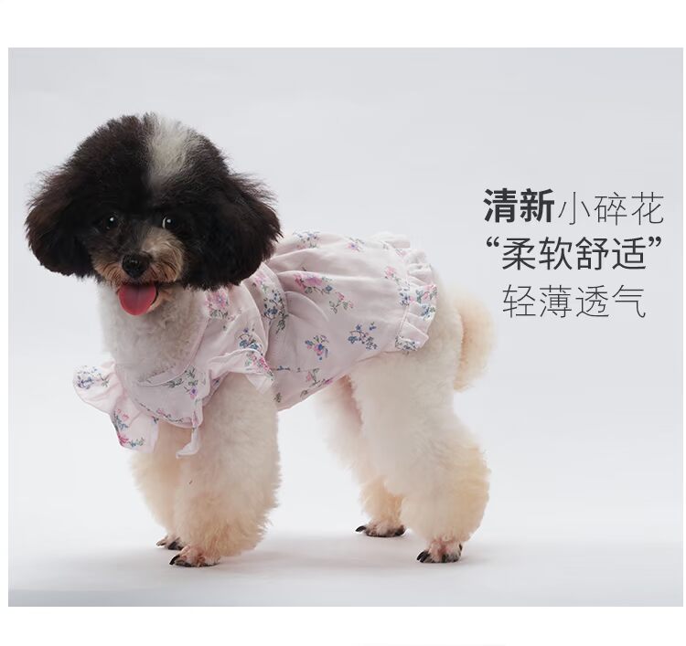 Quần áo trẻ em màu đen cotton mùa hè váy váy chó quần áo mùa xuân và quần áo mùa hè Teddy váy váy hoa - Quần áo & phụ kiện thú cưng nón cho mèo