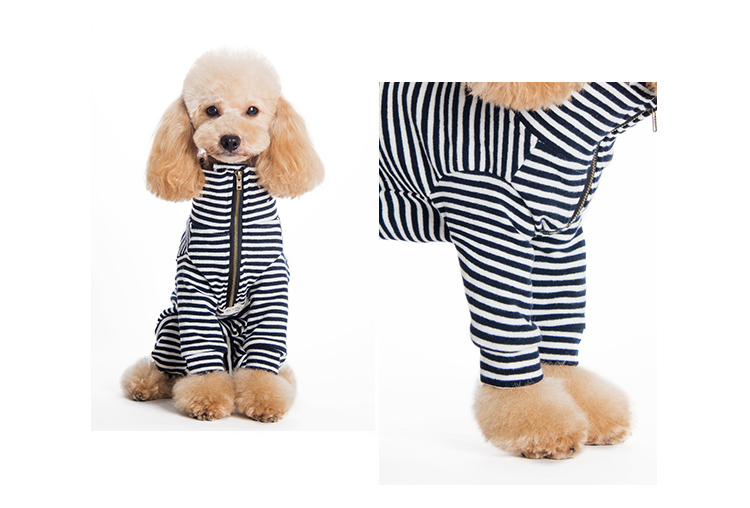 Quần áo cho thú cưng màu đen quần áo chó Teddy quần áo mùa đông nữ túi chó bụng nam chó bông sọc bốn chân quần mùa xuân - Quần áo & phụ kiện thú cưng quần áo cho chó mèo