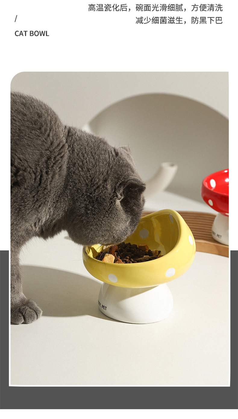 猫碗陶瓷斜口保护颈椎喝水碗粮食盆猫咪饭碗宠物用品狗狗盆插图3 猫碗陶瓷斜口保护颈椎喝水碗粮食盆猫咪饭碗宠物用品狗狗盆插图3