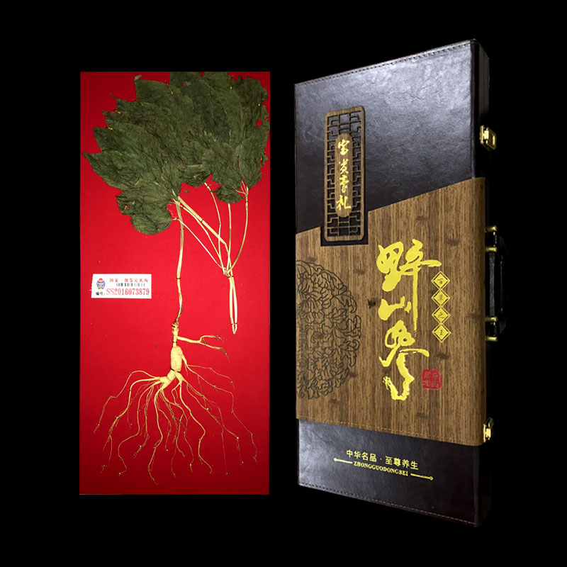 Long white mountain ginseng with leaves of Yeano Mountain Ginseng Gift Box Forest Down The Hill To Visit The Mountain For Gifts
