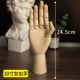 10 -INCH Женщина правая рука 24,5 см