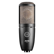 AKG love technology P220 large diaphragm recording studio human voice box piano Copper Tube Condenser Microphone instrument microphone