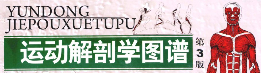 Motor Anatomy Atlas 3rd Edition Skeletal Muscle Morphological Structure Articular Cartilage Motor Organ Color Atlas