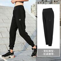 Plus fat plus size fat mm quick-drying fitness pants women 200 catties morning running pants casual pants yoga pants loose sports pants