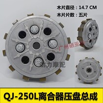 Qianjiang Kaiwei QJ250 - L J Clutch Qianjiang Cruise 250 Clutch Small Drumm Assembly Press Disc