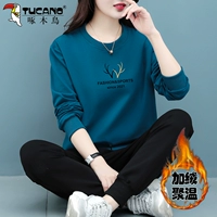 Павлин синий плюс бархат