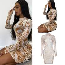 Round neck long sleeve see-through net gauze print dress