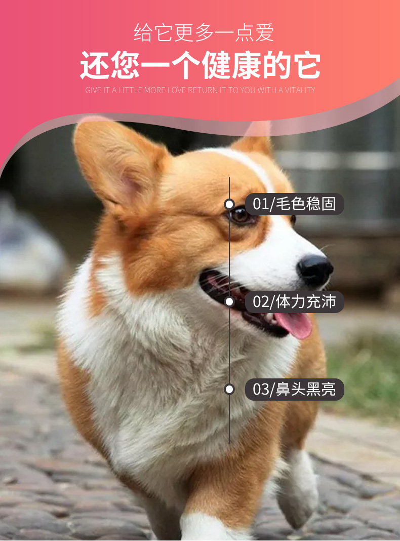 Thức ăn cho chó Keji thức ăn cho chó trưởng thành 20 kg New Zealand chó nhỏ loại chung Thực phẩm tự nhiên Keji Thức ăn cho chó Keji - Chó Staples cám chó
