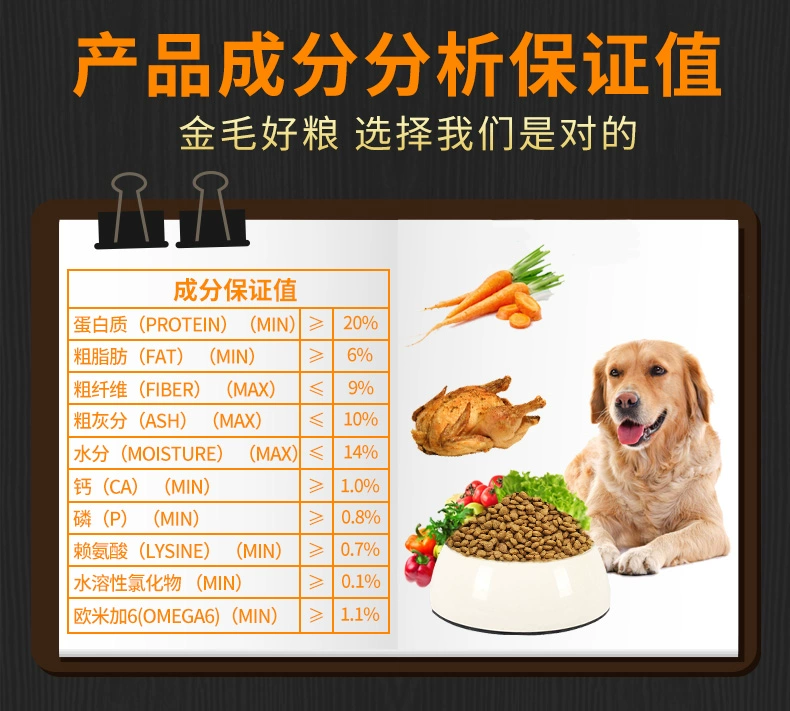 Golden Retriever Dog Thức ăn 20 kg cho chó trưởng thành riêng biệt Chó lớn New York chó Labrador chó sữa 3-6 tháng - Chó Staples thức ăn cho chó cảnh