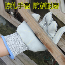 Pepper-picking gloves anti-pricking anti-pricking anti-piercing hedgehog gloves anti-peeling chestnut gloves anti-cutting anti-stab gloves