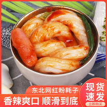 5 bags of net red powder rat potato vermicelli extra coarse quick-hand fast-food Northeast casserole hot and sour powder Malatang hot pot