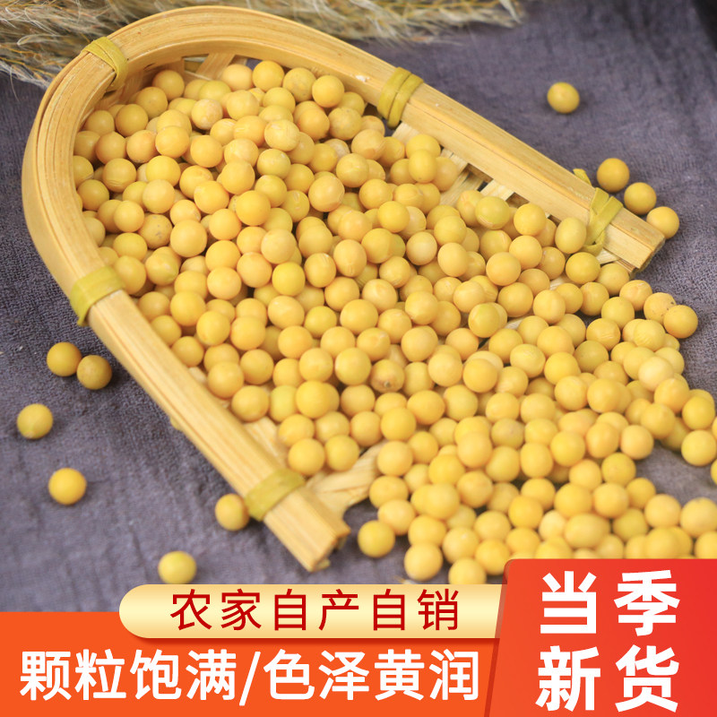 5 catties Northeast soybean Fresh farmyard Non-genetically modified Heilongjiang Soybean Soybean Milk Bean Sprout Dumb Soybean Round Bean