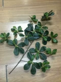 Моделирование фулю Тонга листья фальшивые листья и деревья украшают листья листьев, декоративные листья листья