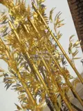 湡 湡 浠 戣壊 戣壊 浠 绔 浠 瓙 瓙 瓙 戠  搴嗛 绔 瓙 瓙 瓙 瓙 獥鑸 獥鑸 炲 呴 グ 囩 愬 愬 愬 电        グ  愬 愬 电      