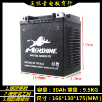 Lion YIX30L-BS spring breeze X8 motorcycle battery Harley big gliding Road King 12V32AH maintenance free battery