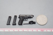 SoldierStory 1:6 scale SS109 American snow seal NSW P226 model