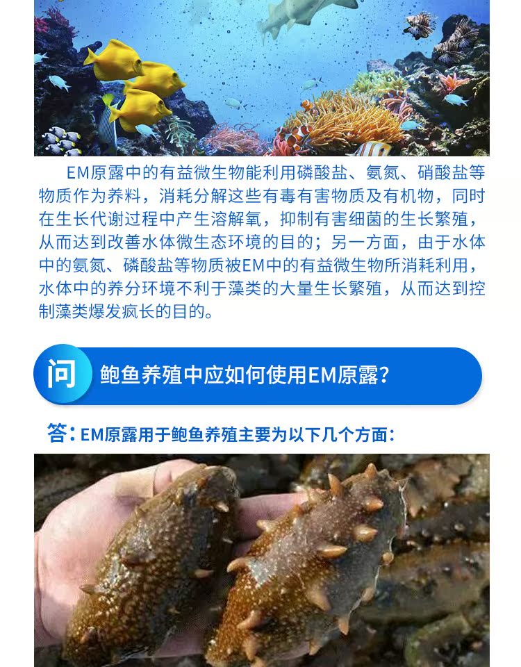 Chất lượng nước điều tiết EM gốc sương chăm sóc sức khỏe thủy sản chăm sóc sức khỏe nhập khẩu EM chủng chứng khoán chất lỏng tốc độ giảm amoniac nitơ nitrit - Phụ kiện chăm sóc mắt bình xịt vệ sinh nội thất ô tô