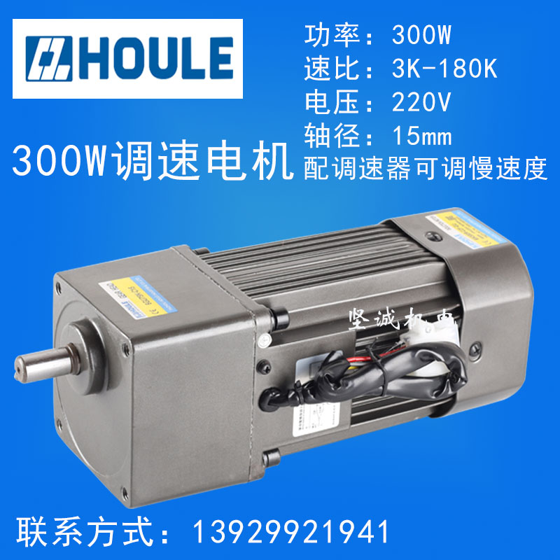 HOULE haute force small AC 220V 380V300W gear deceleration throttling motor positive reversal slow motor