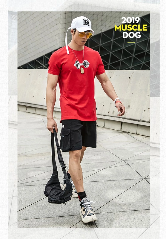 Cơ bắp chó Tide thương hiệu mùa hè 2019 nhẹ nhàng thoáng khí nhanh khô cổ lỏng tập thể dục thể thao đào tạo áo thun nam ngắn tay - Áo phông thể thao