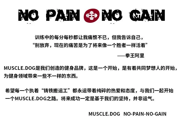 Cơ bắp chó dài tay Áo thun in thương hiệu áo thun ngắn cổ tròn thể thao áo thun thể thao áo len áo len nam - Thể thao lông cừu / jumper