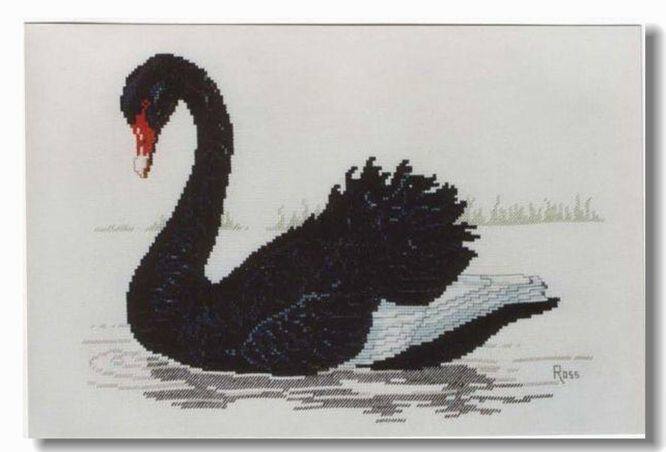 Cross stitch electronic drawing redraw source file XSD beautiful black swan