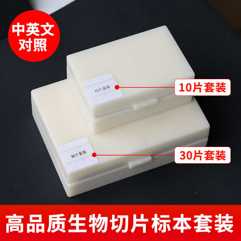 Biological Microscope Observation Specimens, Children's Experiment Kits, Making Animal and Plant Cell Slides, Materials for Middle School Students' Teaching Materials, Insect and Microbial Glass Slides