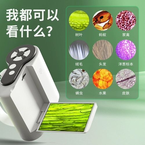 Маленький микроскоп, развивать научный интерес детей!